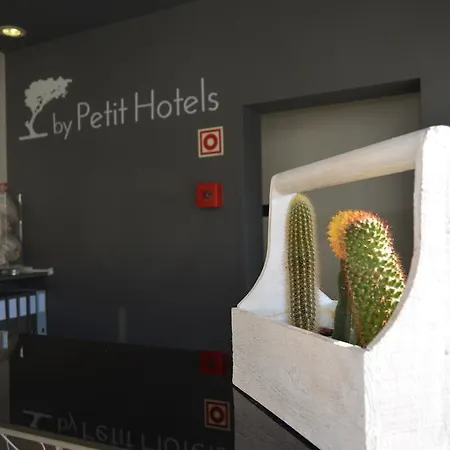 佩蒂特马德拉光彩之星酒店 酒店 4*