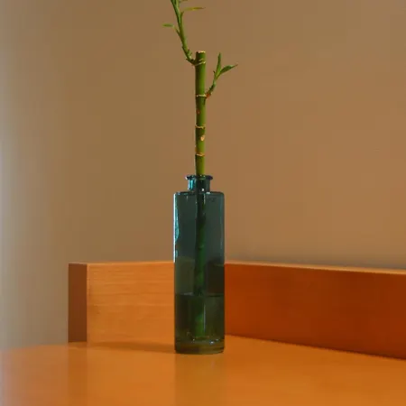 佩蒂特马德拉光彩之星酒店 4*