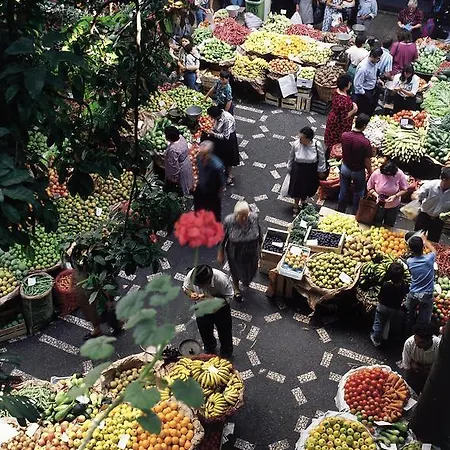 佩蒂特马德拉光彩之星酒店 酒店 丰沙尔