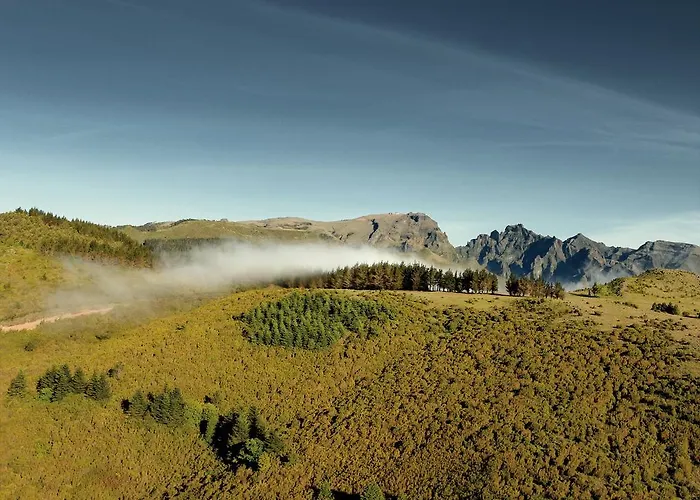 Madeira Bright Star By Petit Funchal (Madeira)