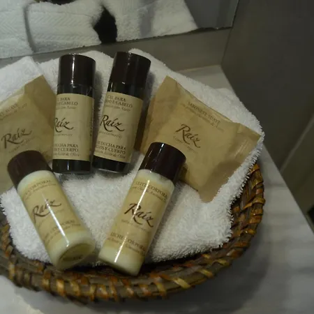 Madeira Bright Star By Petit Funchal