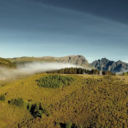 Madeira Bright Star By Petit Funchal