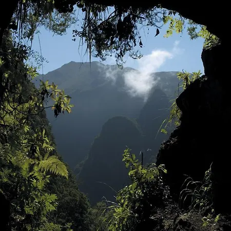 Madeira Bright Star By Petit 4*