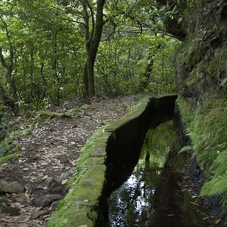 Madeira Bright Star By Petit Otel 4*