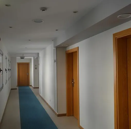 Madeira Bright Star By Petit