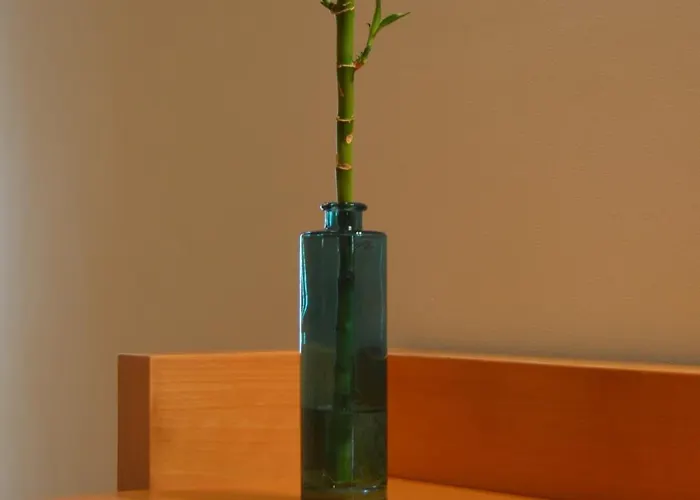 Madeira Bright Star By Petit 4*