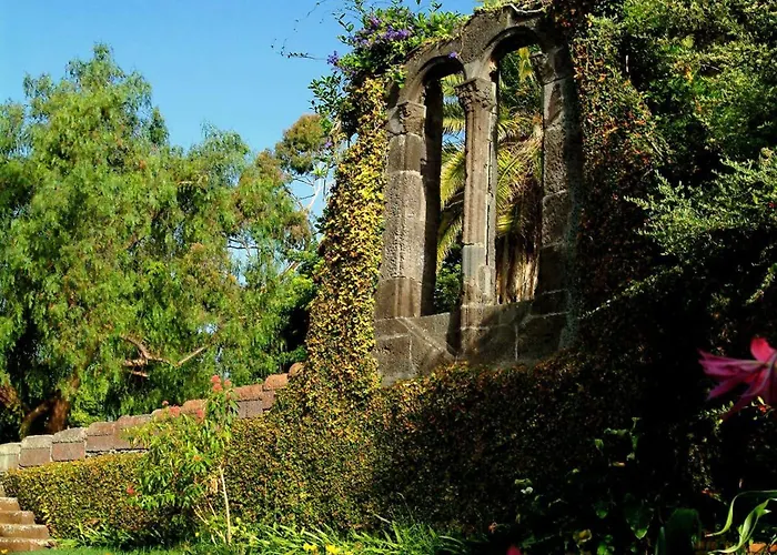 Madeira Bright Star By Petit 4*