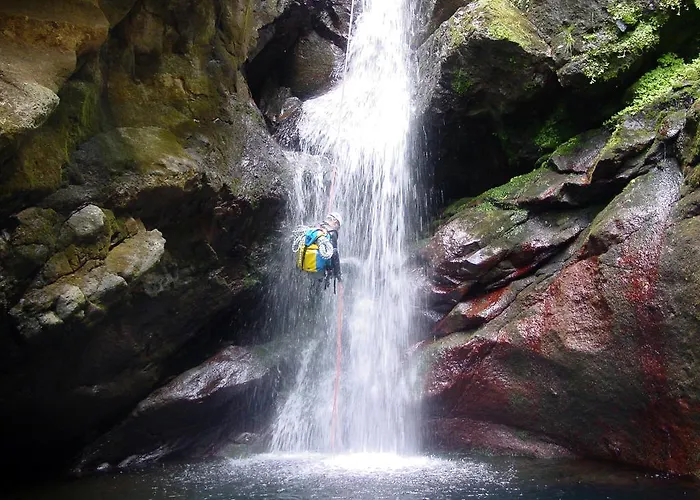 Hotell Madeira Bright Star By Petit