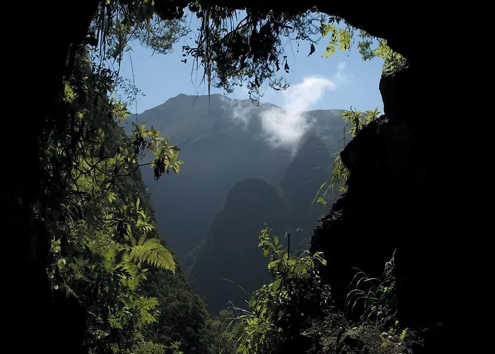 Madeira Bright Star By Petit 4*