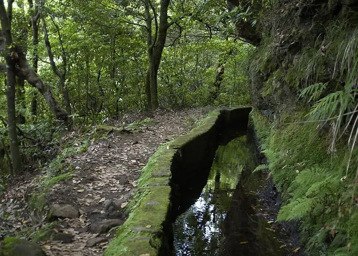 Madeira Bright Star By Petit Hotell 4*